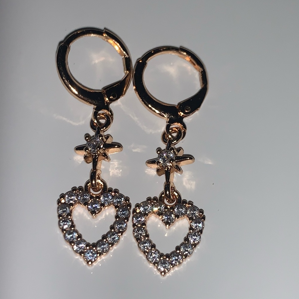 Heart ❤️ earrings